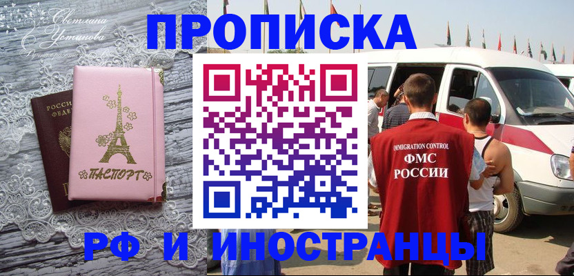 прописка поиск в Нижнекамске